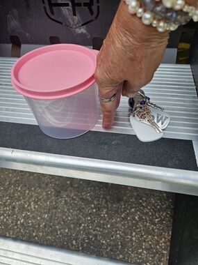 Small Tupperware Plastic Container with Pink Lid
